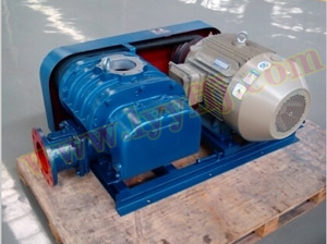 �_���L�CSR